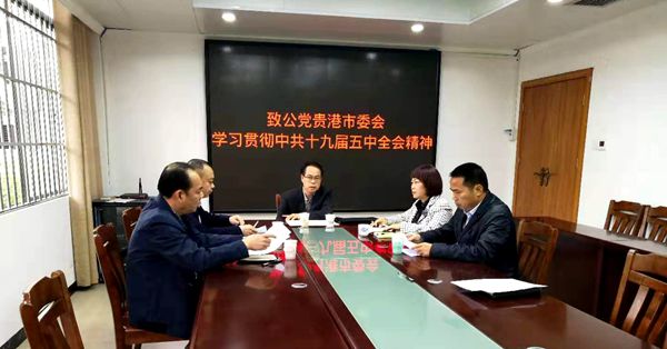 致公党贵港市委会学习贯彻中共十九届五中全会精神（学习图片）_副本.jpg