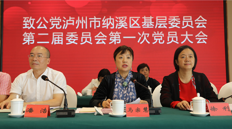 马宗慧出席泸州市纳溪区基层委换届工作并讲话