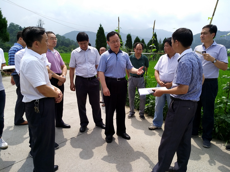 蒋作君在祁门县历口镇溪塘村与当地干部交流