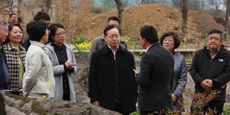 调研组考察板溪镇杉树湾村_副本_副本.jpg