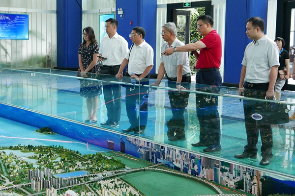 调研组了解翠亨新区规划发展情况