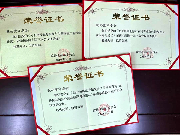 图为致公党北海市委会获得优秀提案证书_副本.jpg