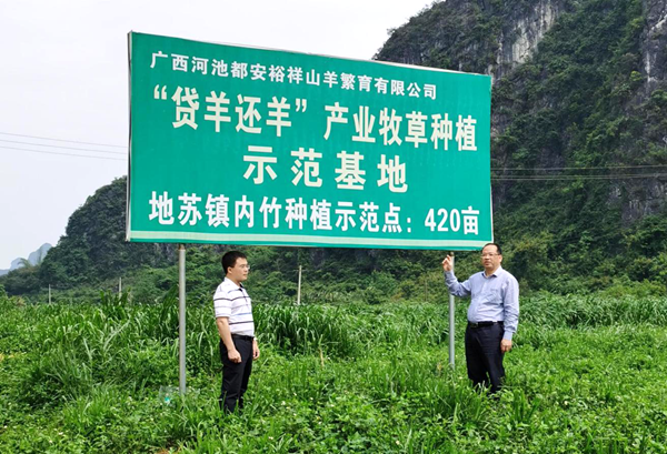 图片2_副本.png