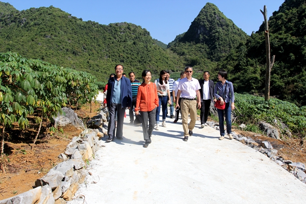 调研生产道路_副本.jpg