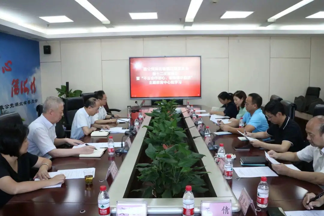 【不忘合作初心，继续携手前进】致公党湖北省委会：做好“实”字文章多措并举推进主题教育活动-3.webp.jpg