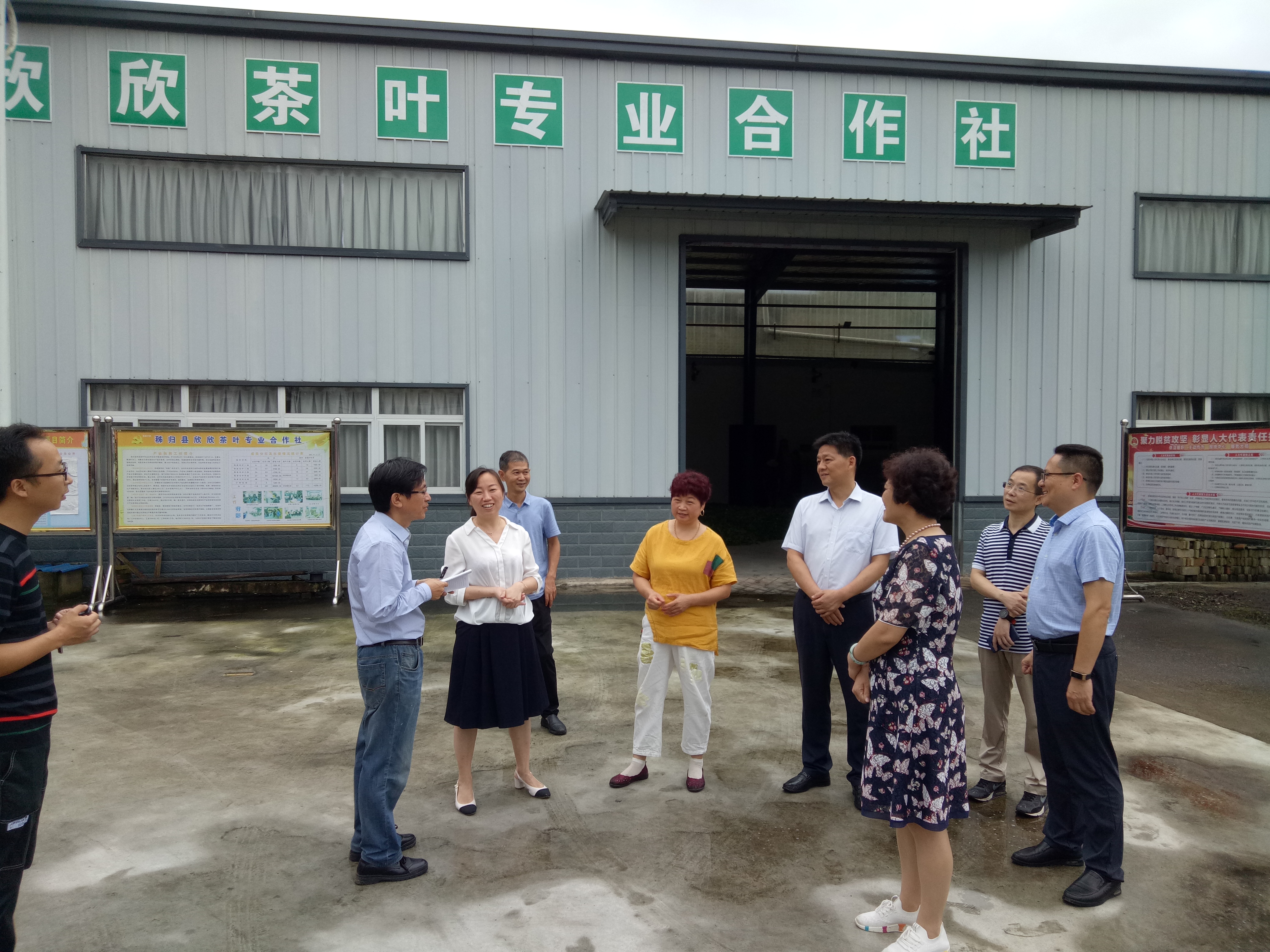 茶叶合作社照片.jpg