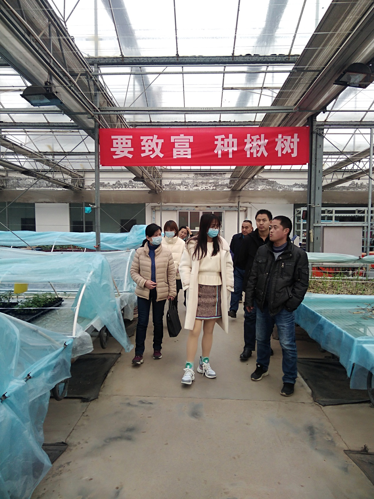 致公党襄阳市委专职副主委胡婧赴河南调研智慧农业.png