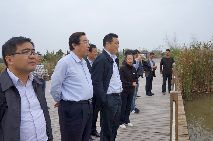 1 考察湿地保护情况.jpg