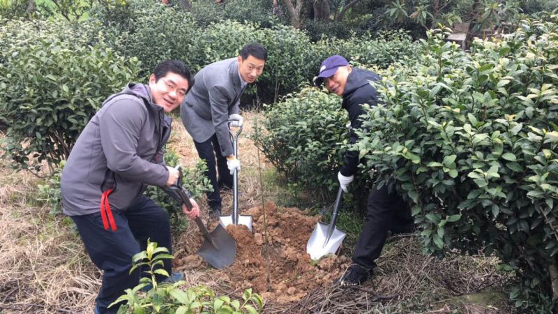 1489569835140817.jpg 1489396267854482_large.jpg