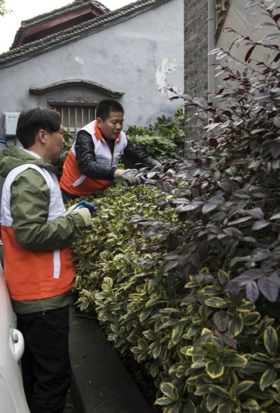 1491363094602918.jpg 图八.jpg