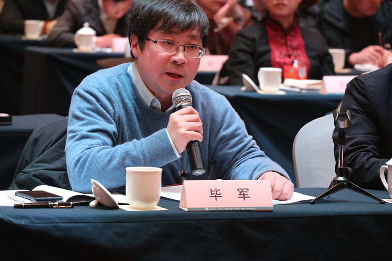 毕军联组发言_副本.jpg