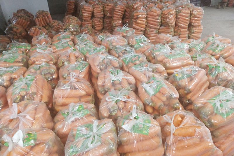 1581408253424981.jpg 2.jpg