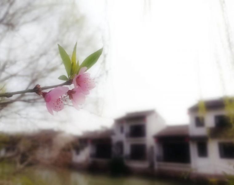 1584079761727237.jpg 微信图片_20200313133842.jpg