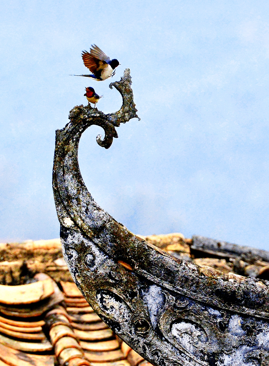 25恋曲-黄为民-(佛冈上岳古村-2013年获"广府风情摄影大赛"一等奖)